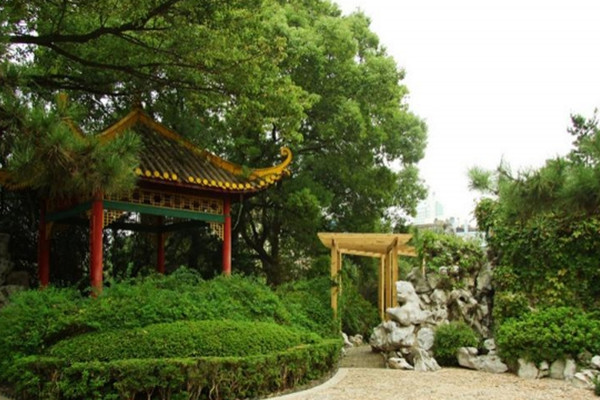 如何讓土地“變肥”，讓樹苗“夠吃”？