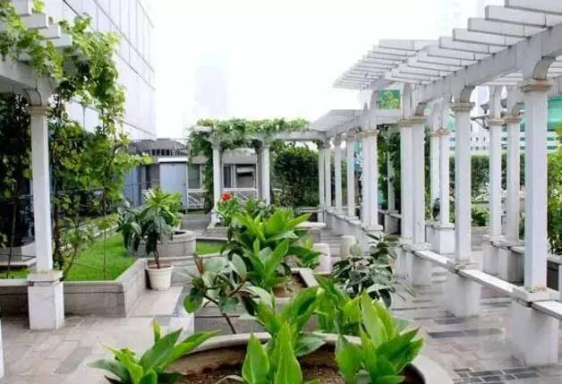 湖北凱蒂園林告訴你園林綠化工程主要包含哪些內(nèi)容？